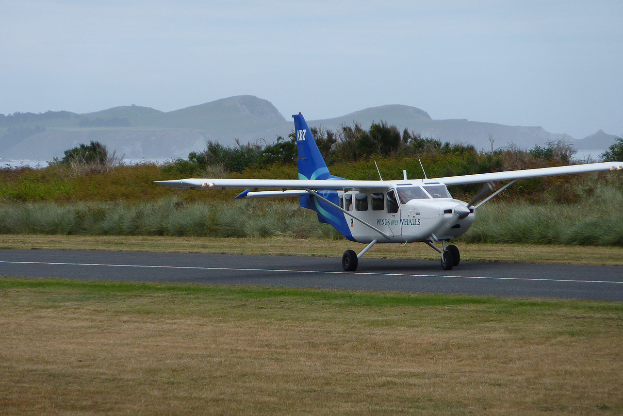 Fly tour to watch whales