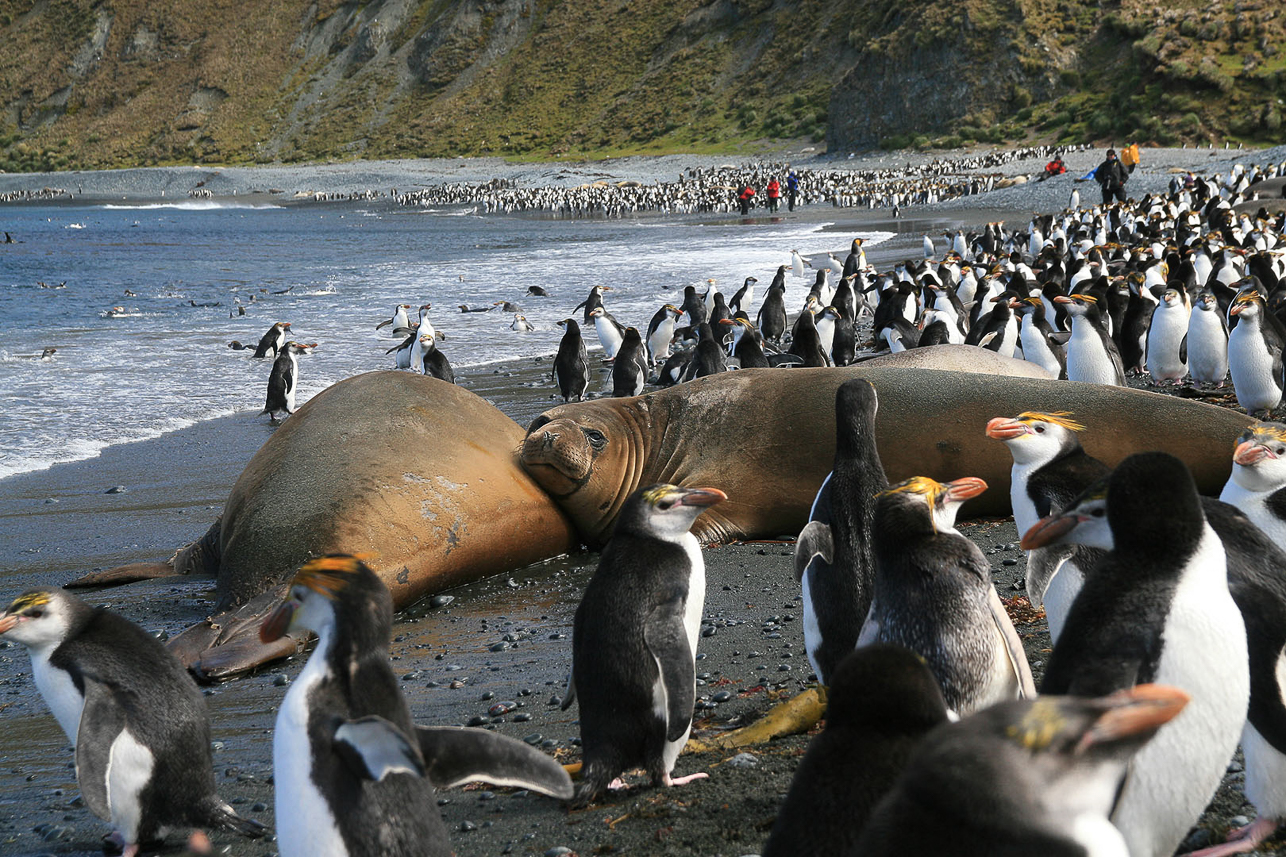 Crowded at Sandy Bay