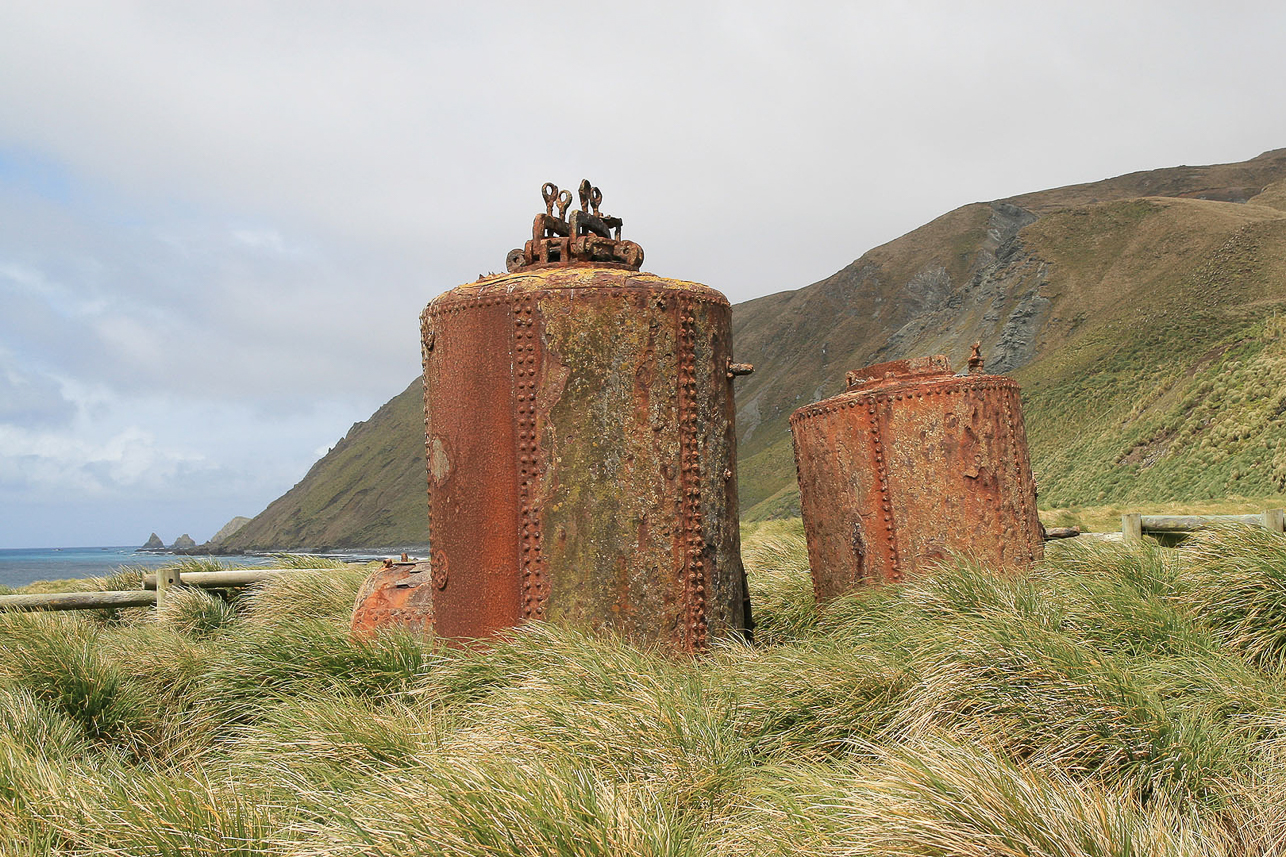 Steam digester for penguins, producing oil around year 1900