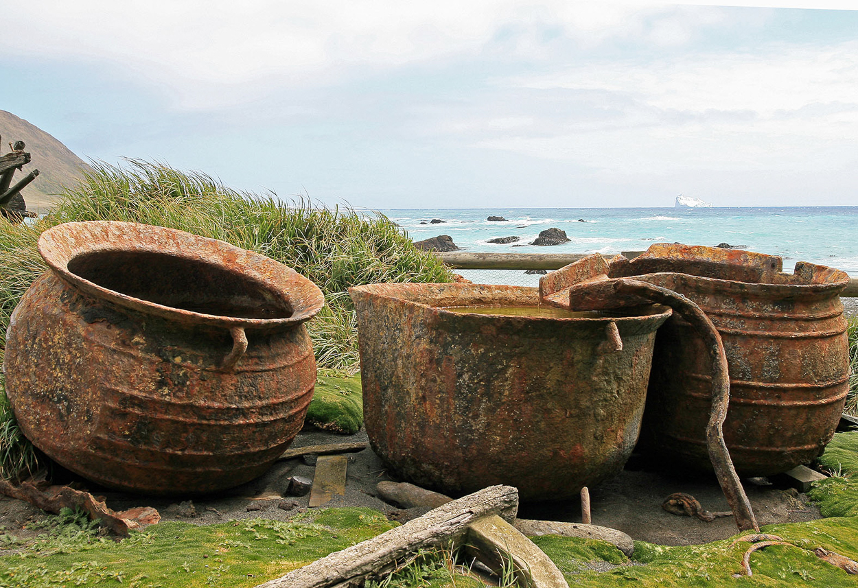 Bins for cooking seals