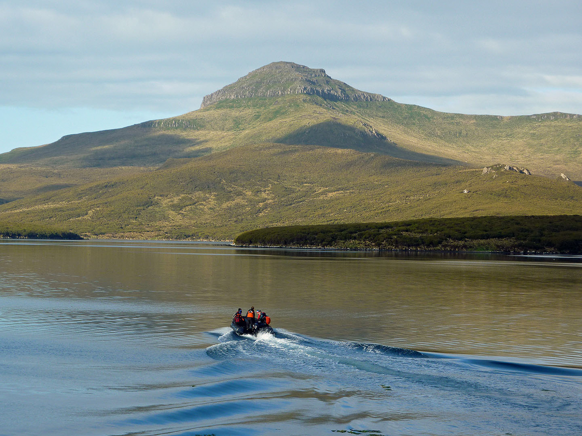 One sunny day at Campbell Island, leaving the ship for a walk