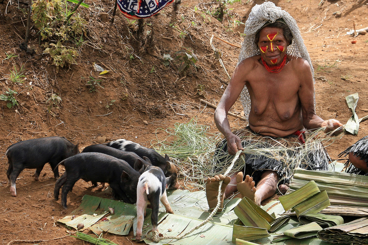 Making ropes, surrounded by valuable pigs