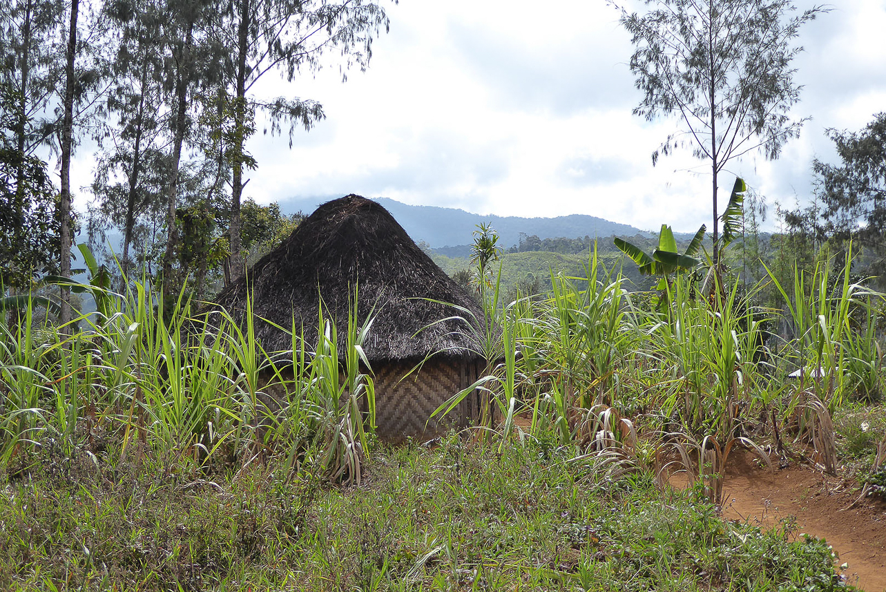 Men's hut in the outer parts of the village