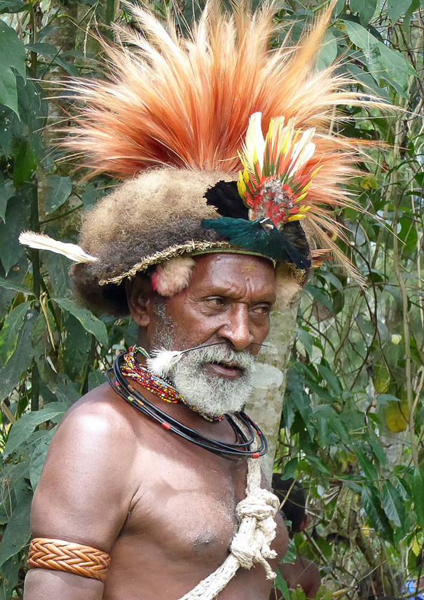 Huli man with wig and nice bird feathers