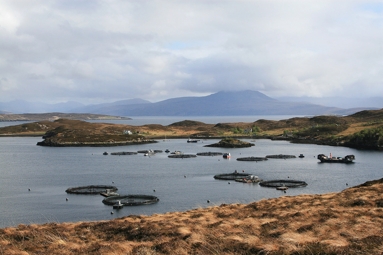 Fish farm (salmon) at Tanera Mòr