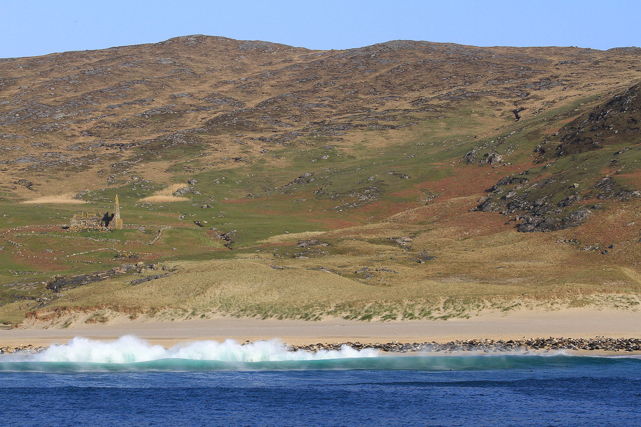 Seals at Mingulay bay