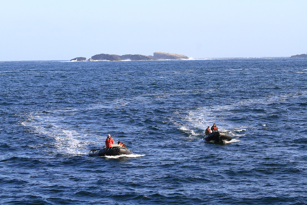 Zodiaks returning, not finding a suitable place for landing in the waves