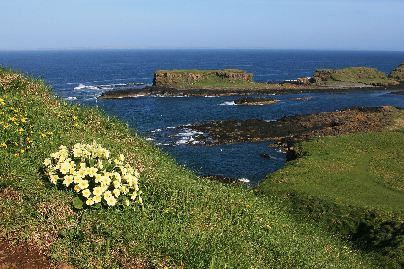 Spring on Lunga