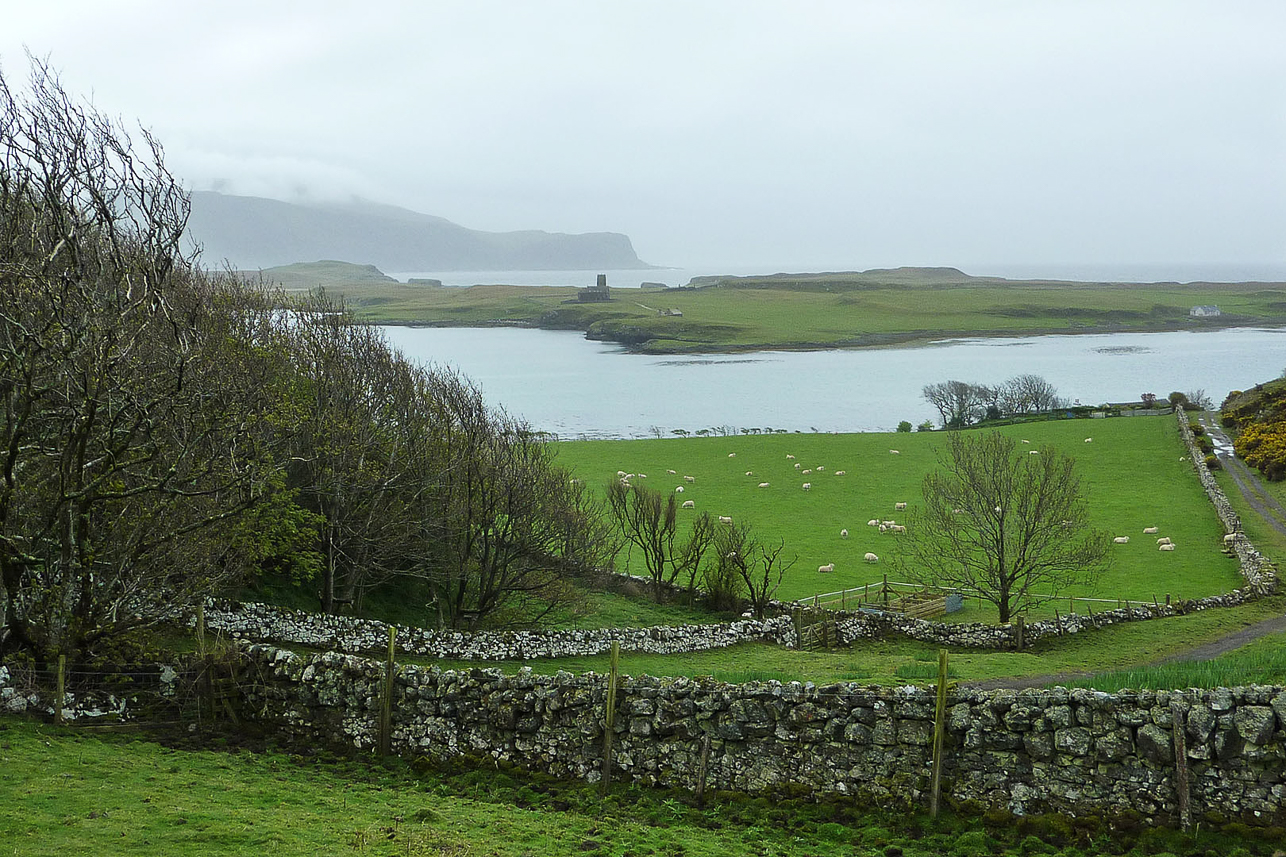 View from Canna Island