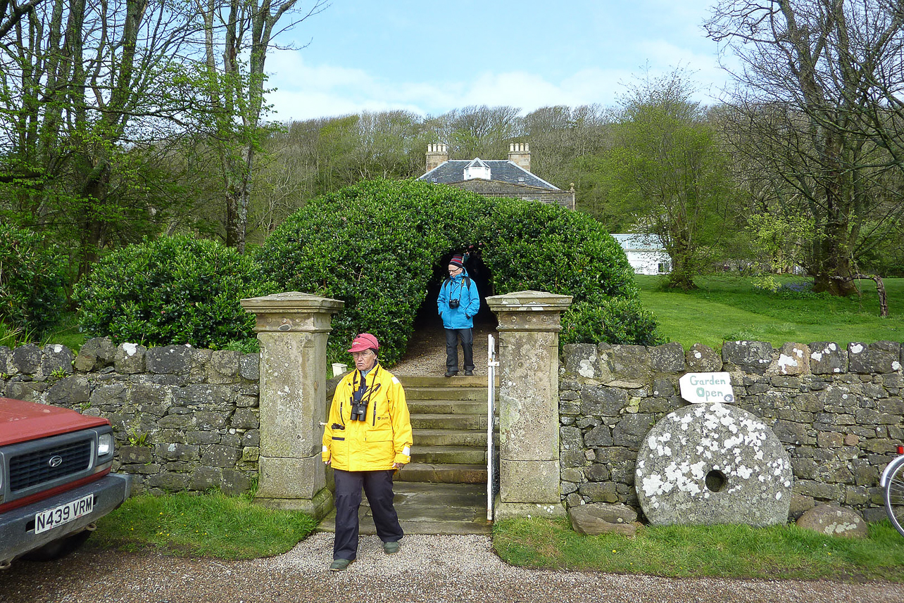 Canna House and the Escallonia tunnel