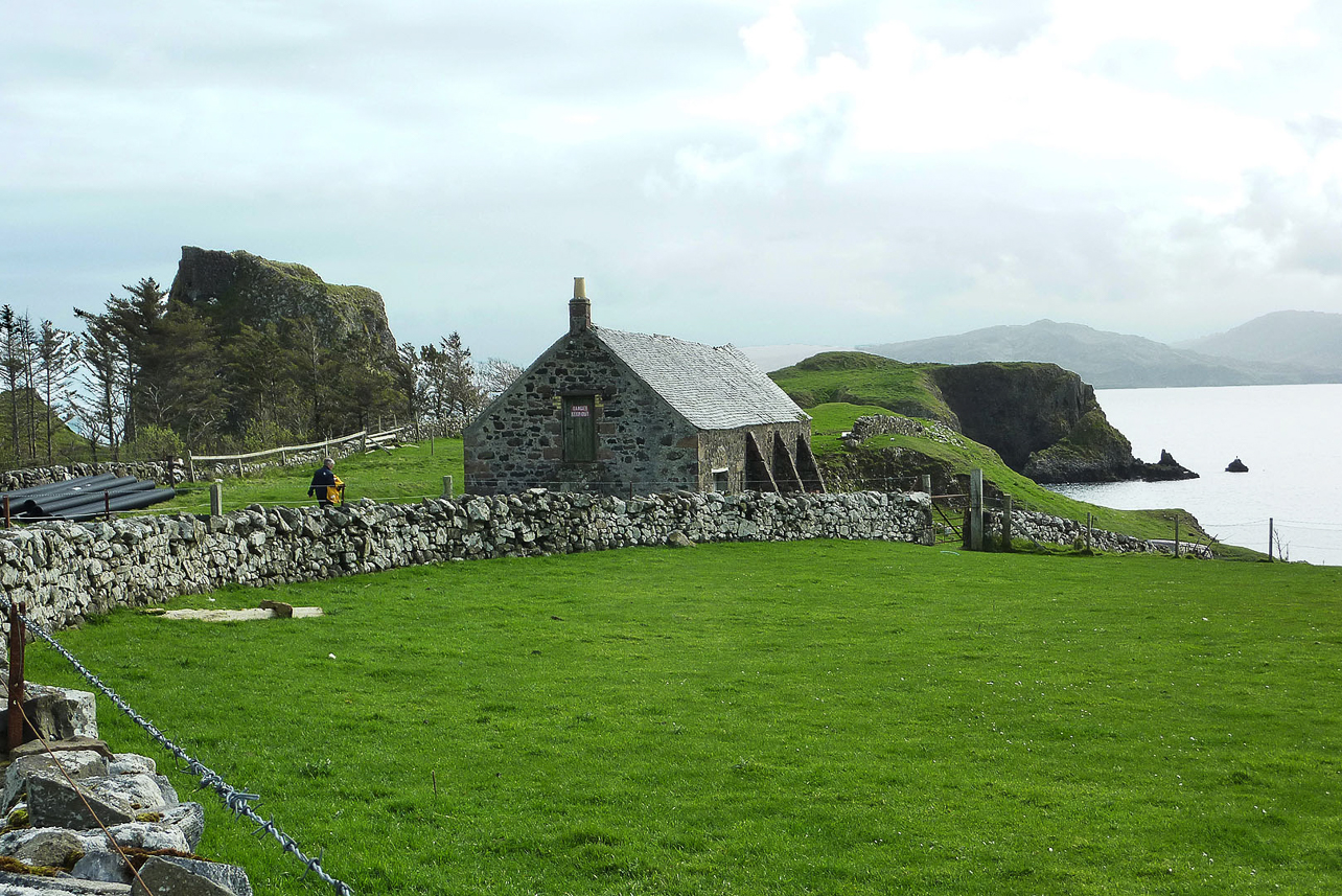 Canna landscape