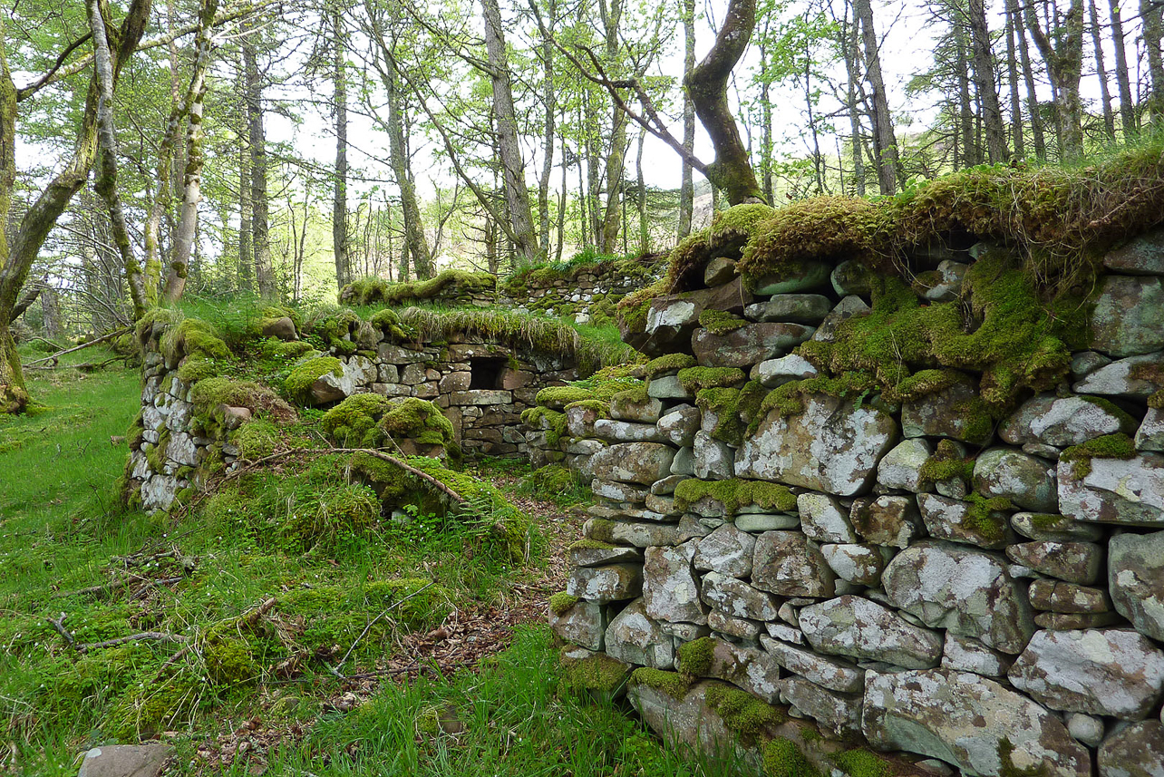 Ruins in the forest on Rum