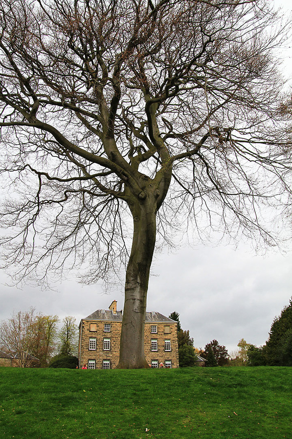 Edinburgh Botanical Garden