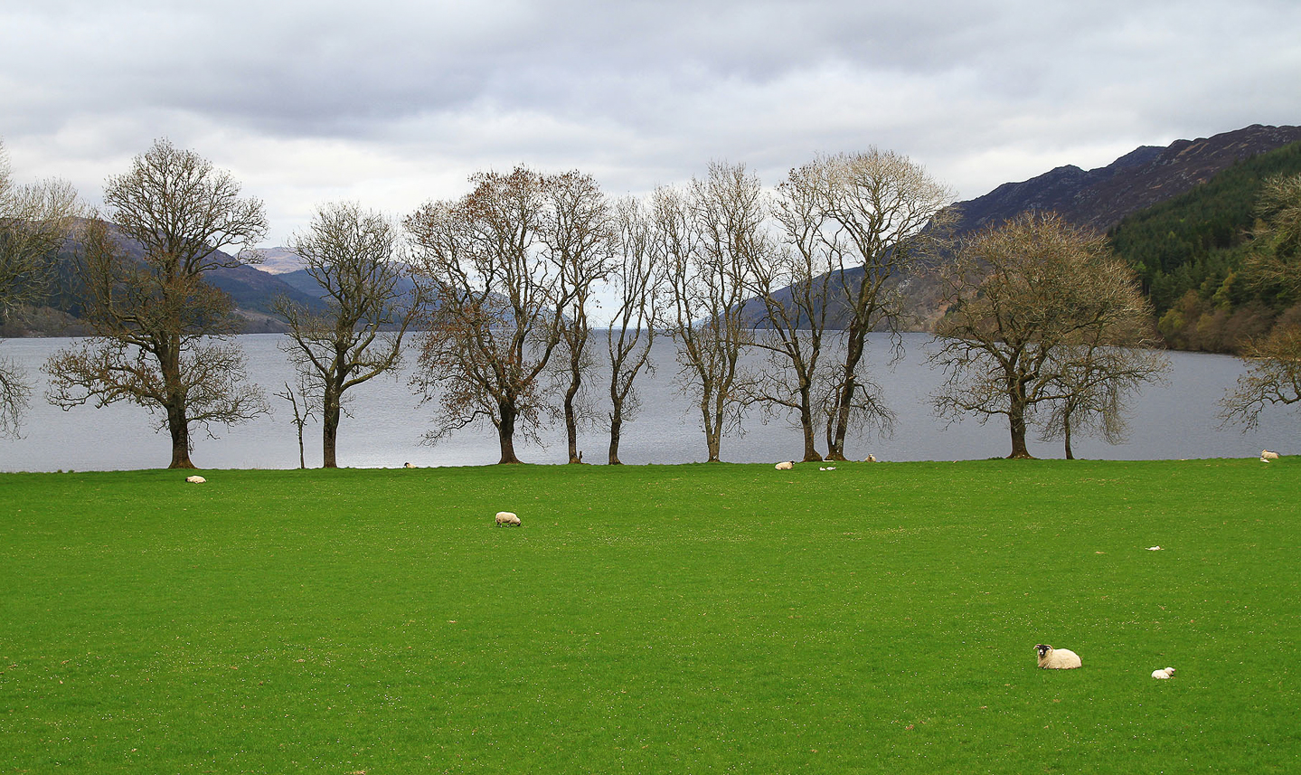 South end of Loch Ness, early spring