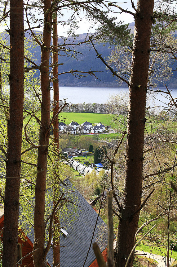 Spring view eastern side of Loch Ness