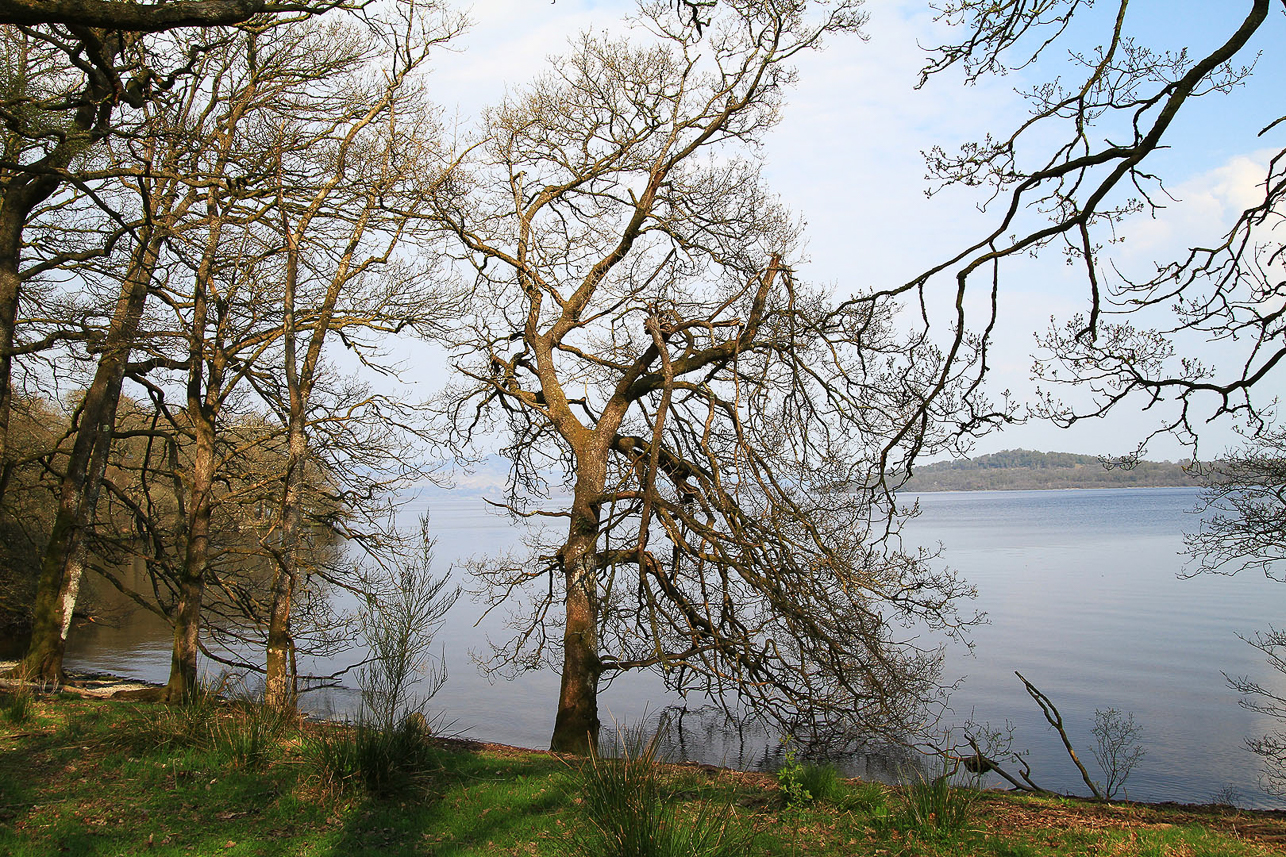 Loch Lomond in spring