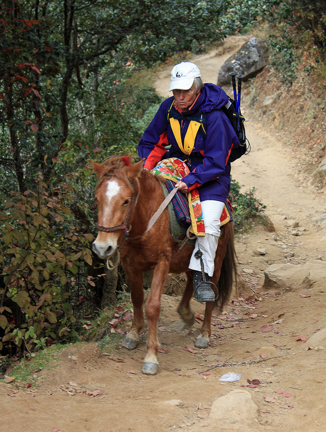 Camilla on the horse to the Tiger's Nest on 3000 m.