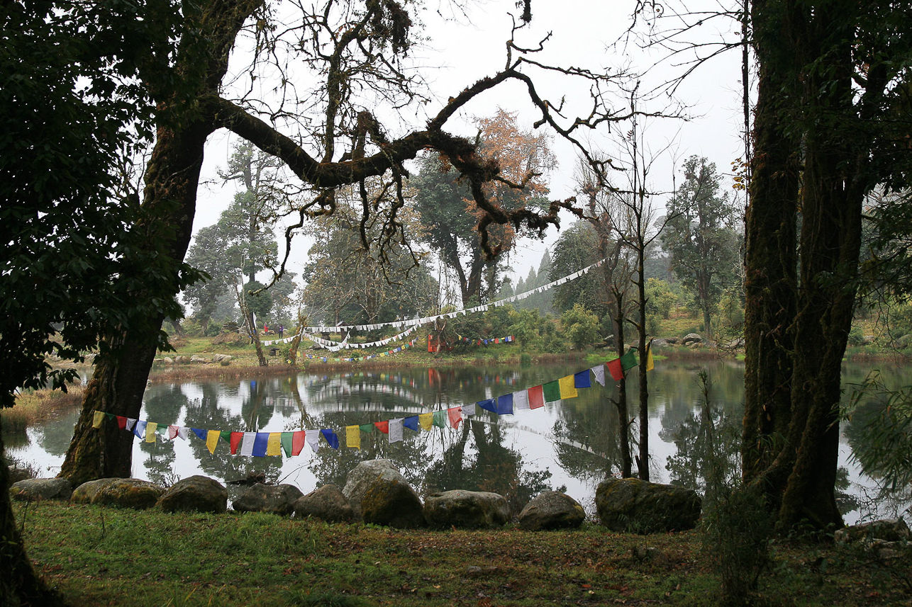 Royal Botanical Garden, on the way to Punakha.