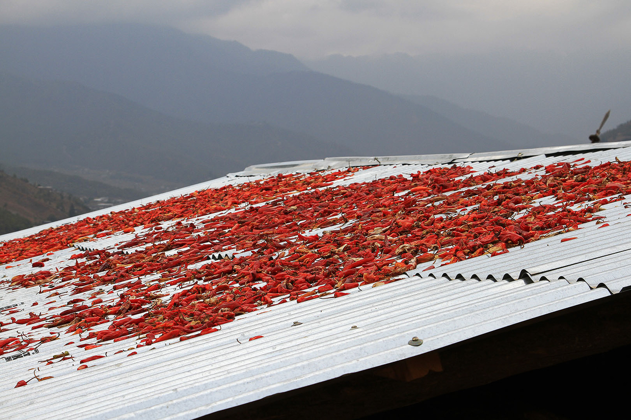 Drying pepper, commonly used in Bhutan.