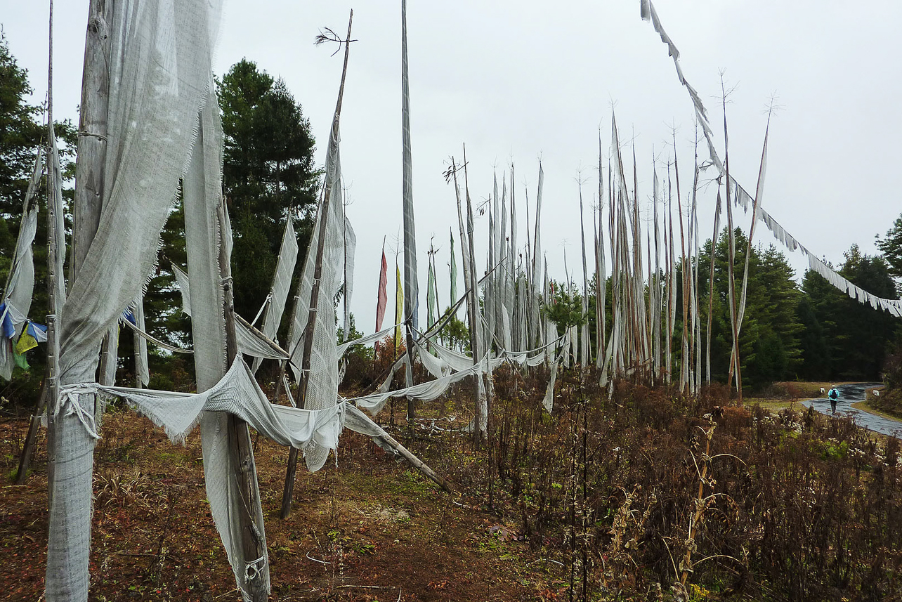 Poles in memory for a dead person (probably 108 poles).