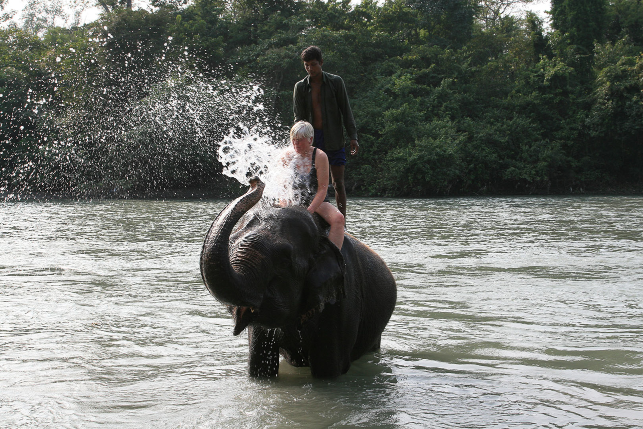 Elephant shower.