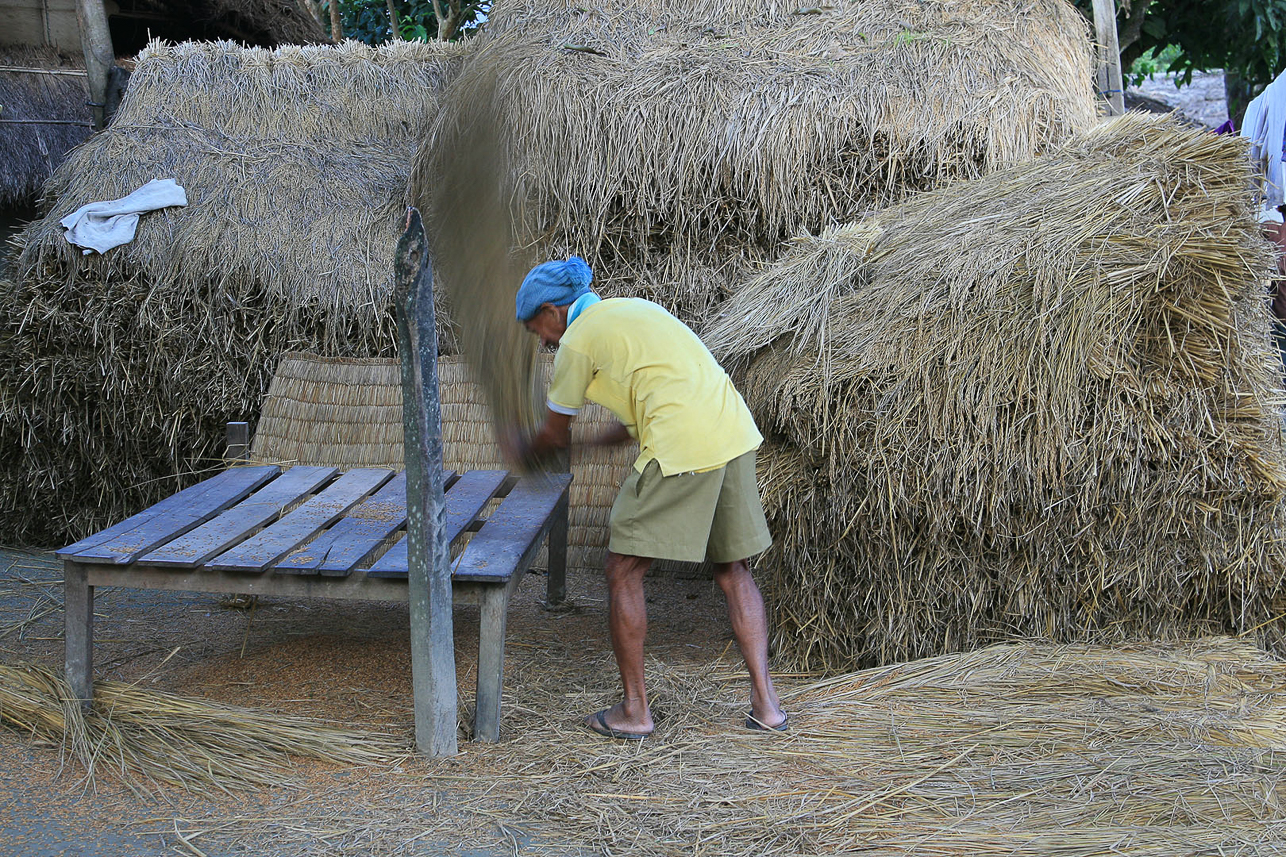 Old village just outside Chitwan.