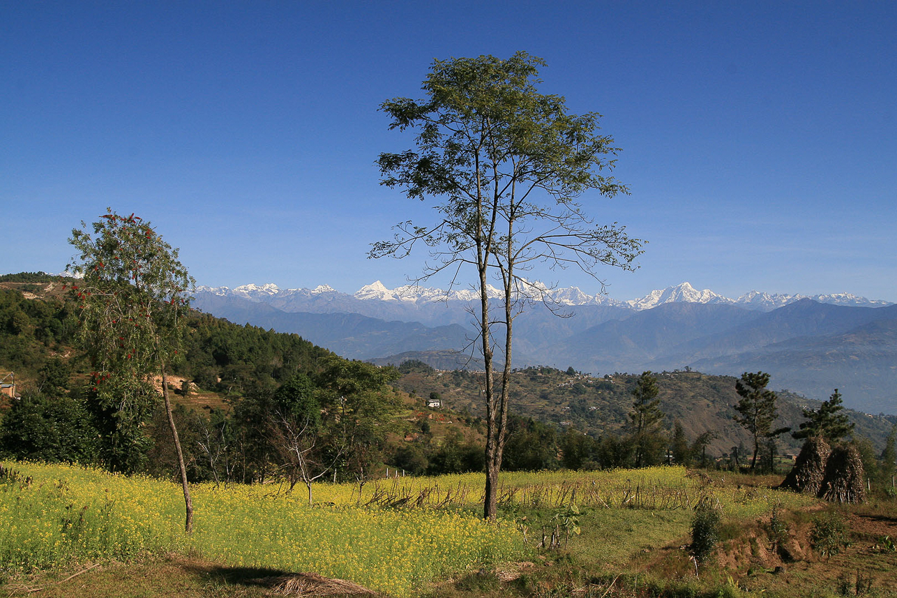 View along the path.