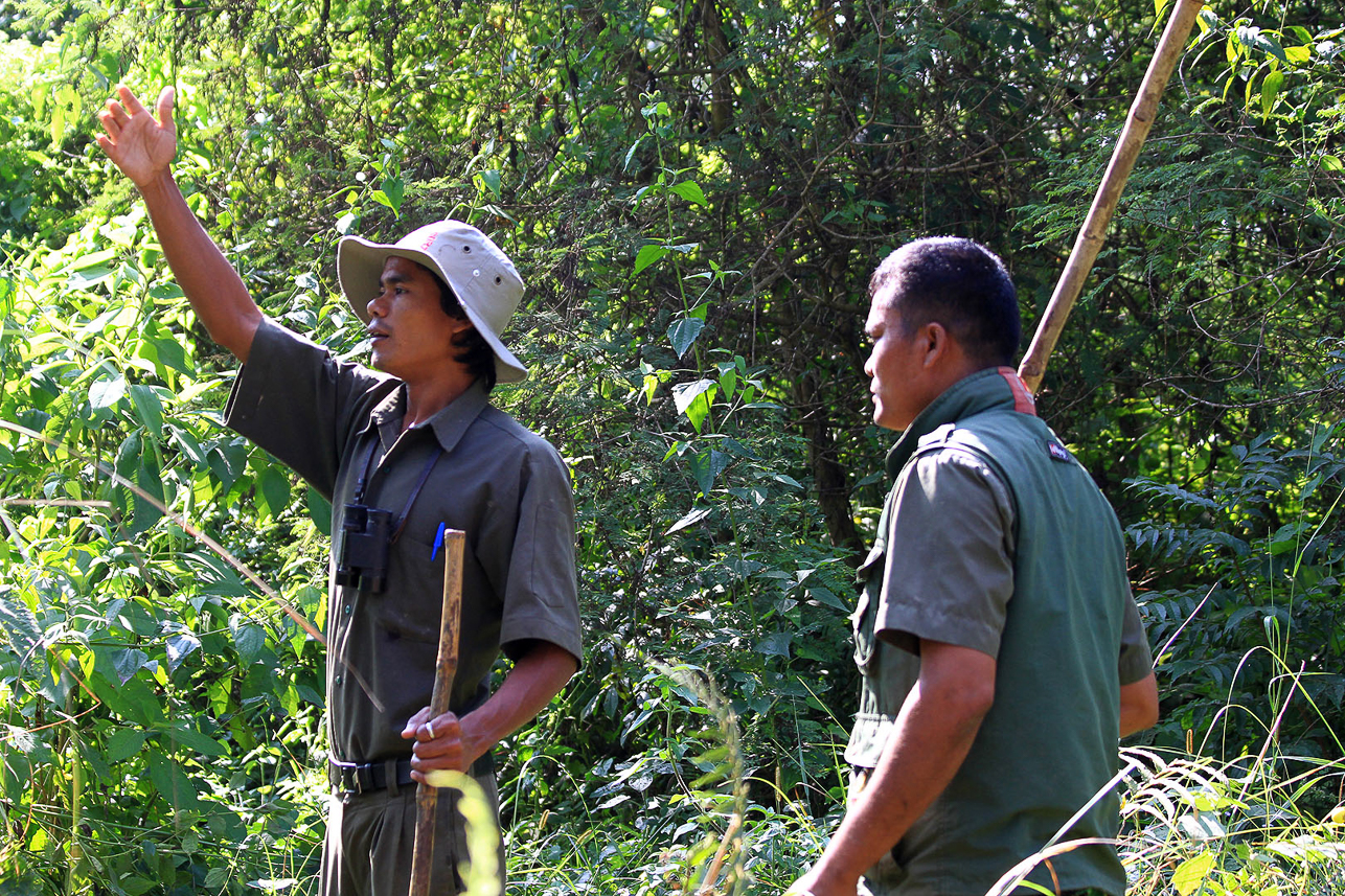 Our guides get track of the rhinos.