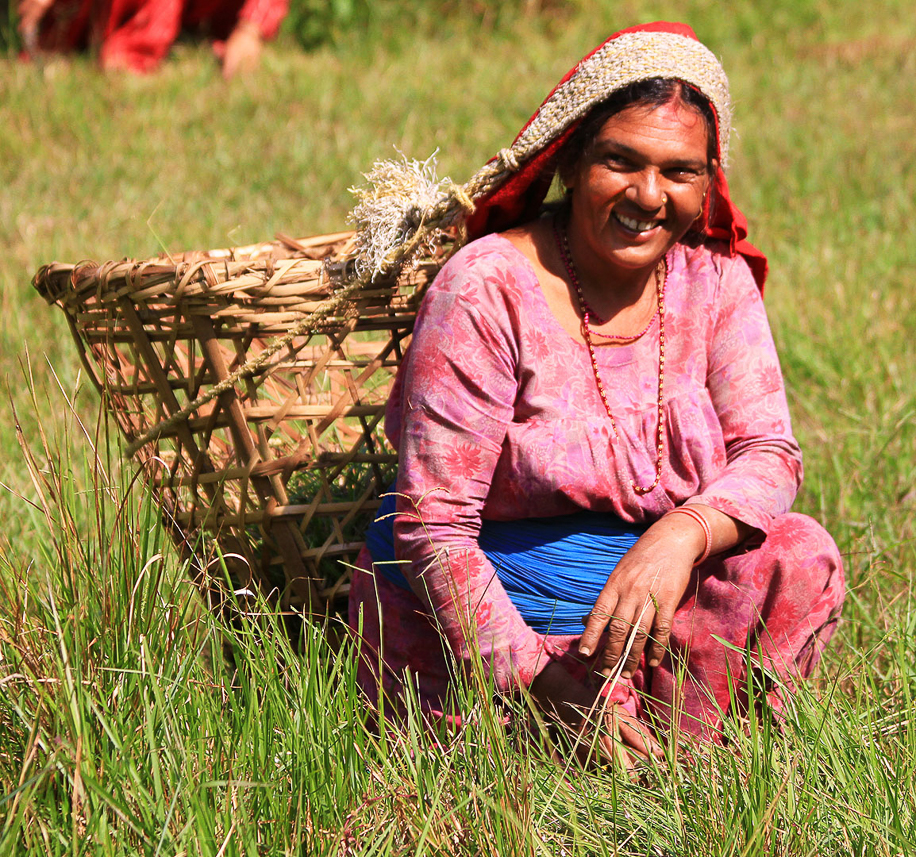 Women cutting grass.