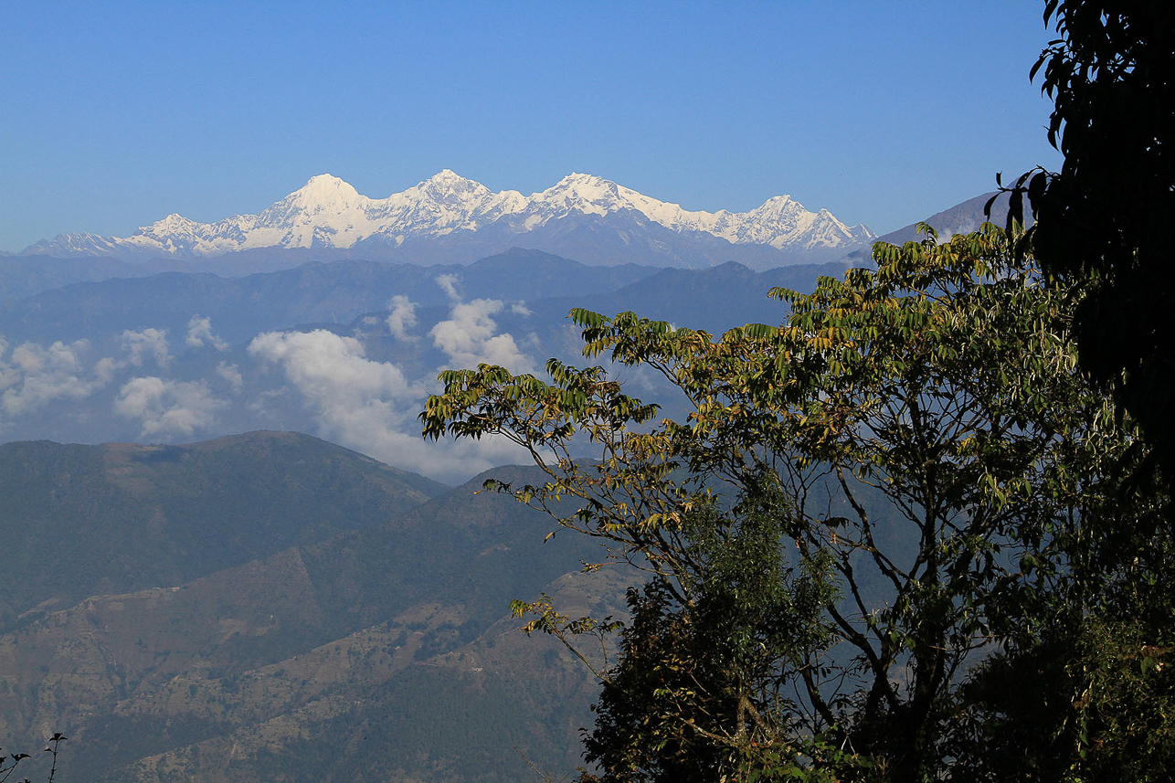 Morning view from the path.