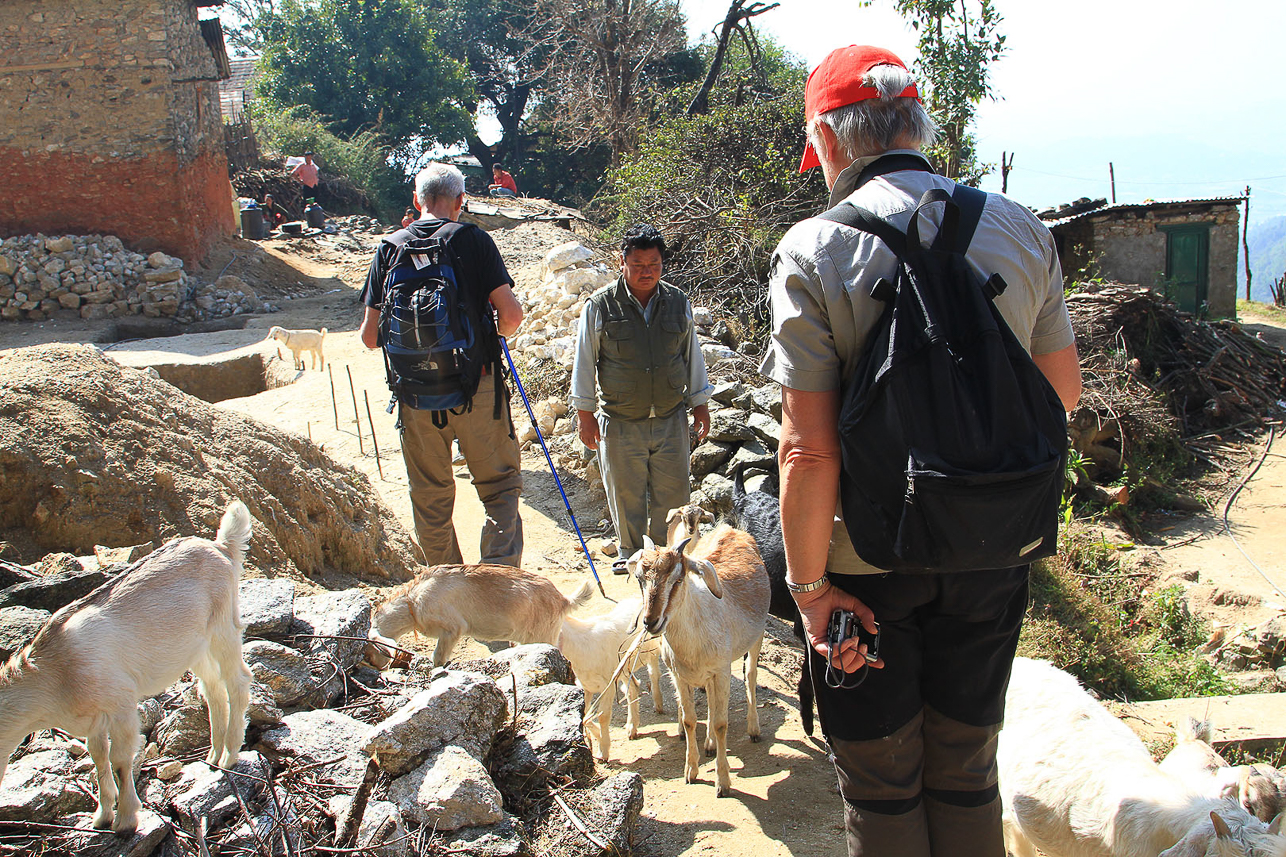 Passing villages, with goats.