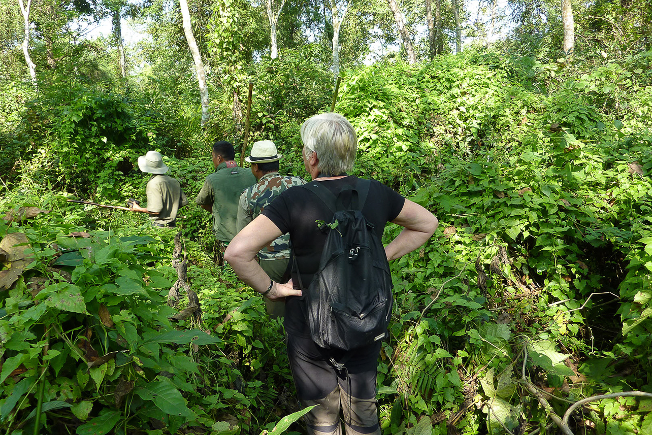 Walking in the jungle, searching for rhinos.