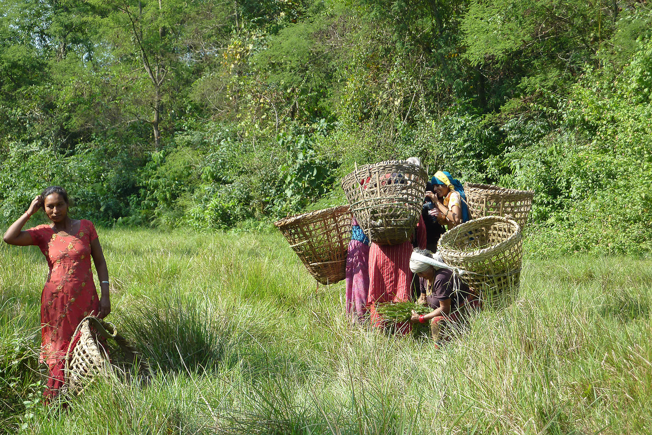 Women in a group, to cope with the rhinos (two rhinos disappeared 100 m from here).