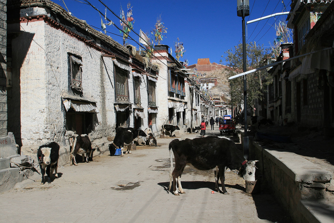 Streets of Gyantse, close to the monastery.