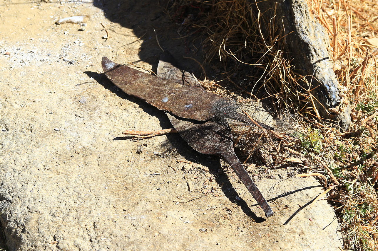 Sky burial knifes. (Special people are performing this work in Tibet, in Bhutan it was said to be the son's work).