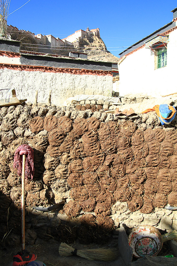 Drying yak dung on the walls, used in the stoves.