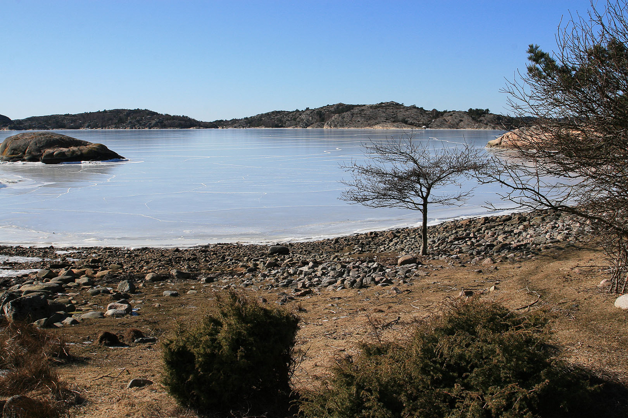 Utsikt över Stigfjorden