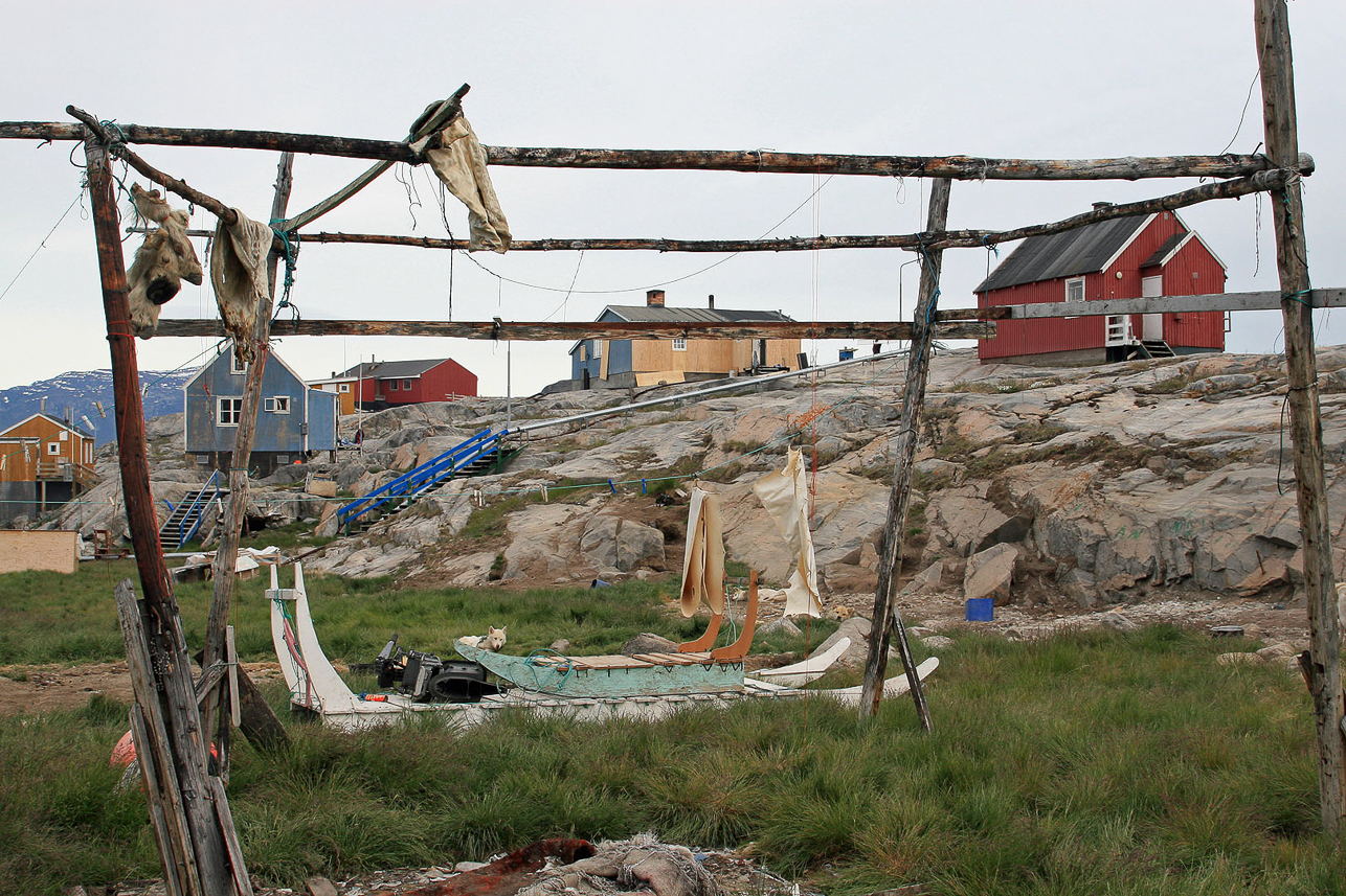 Torkning av sälskinn