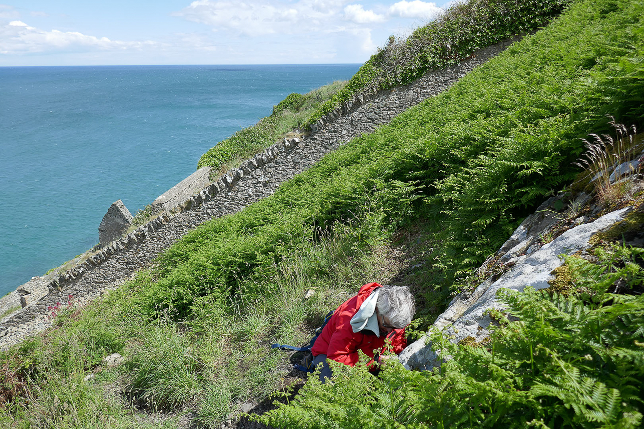 Looking for Europe's oldest geocache in the Bray area south of Dublin