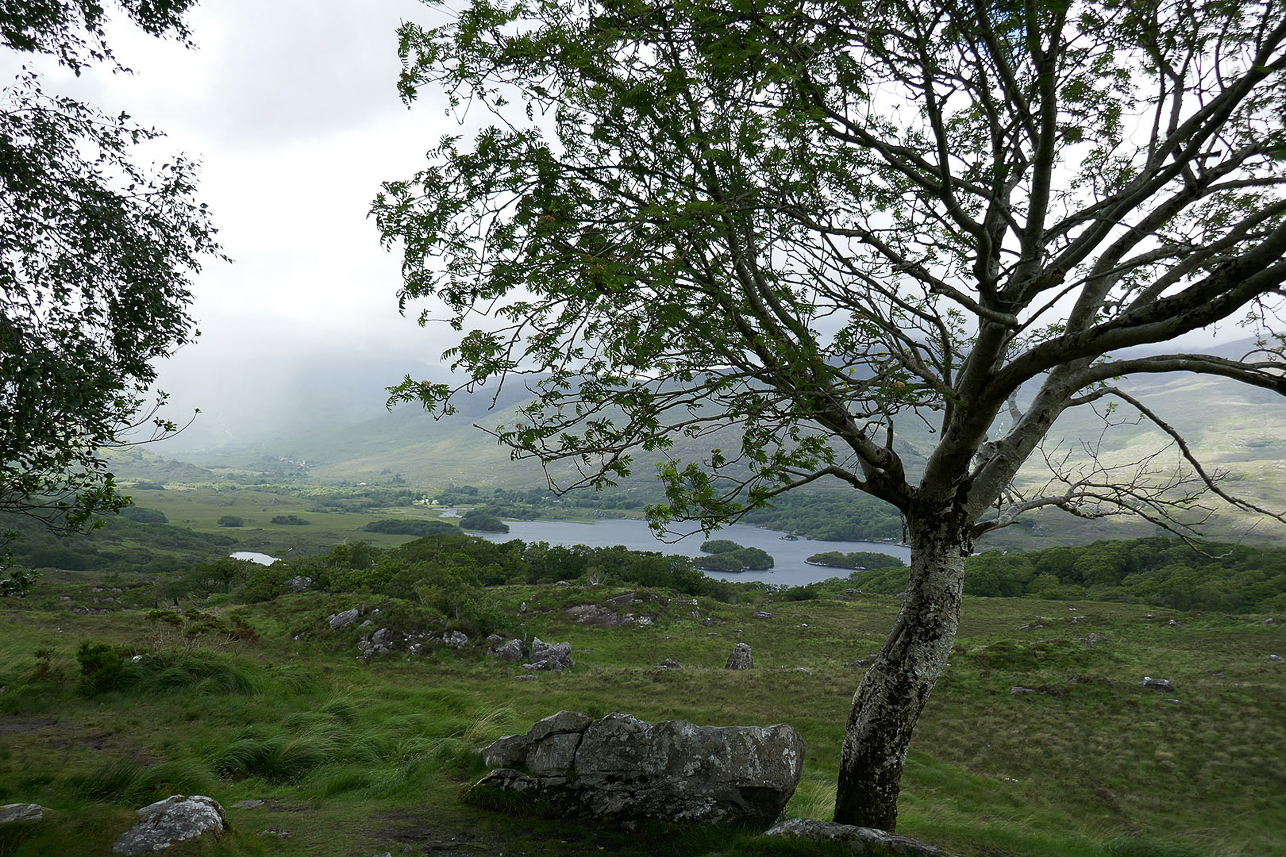 Close to Ladies view (passed here by bicycle in 1968)