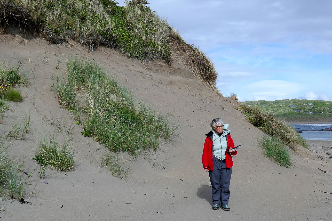 Sand dunes at Derrynane beach