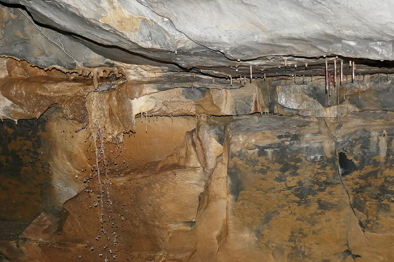 Aillwee Cave