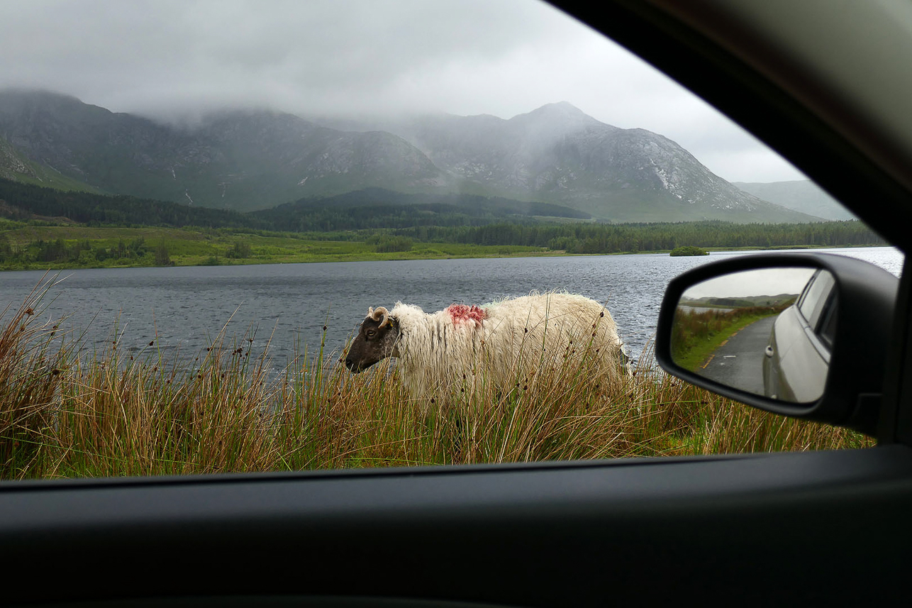 Connemara