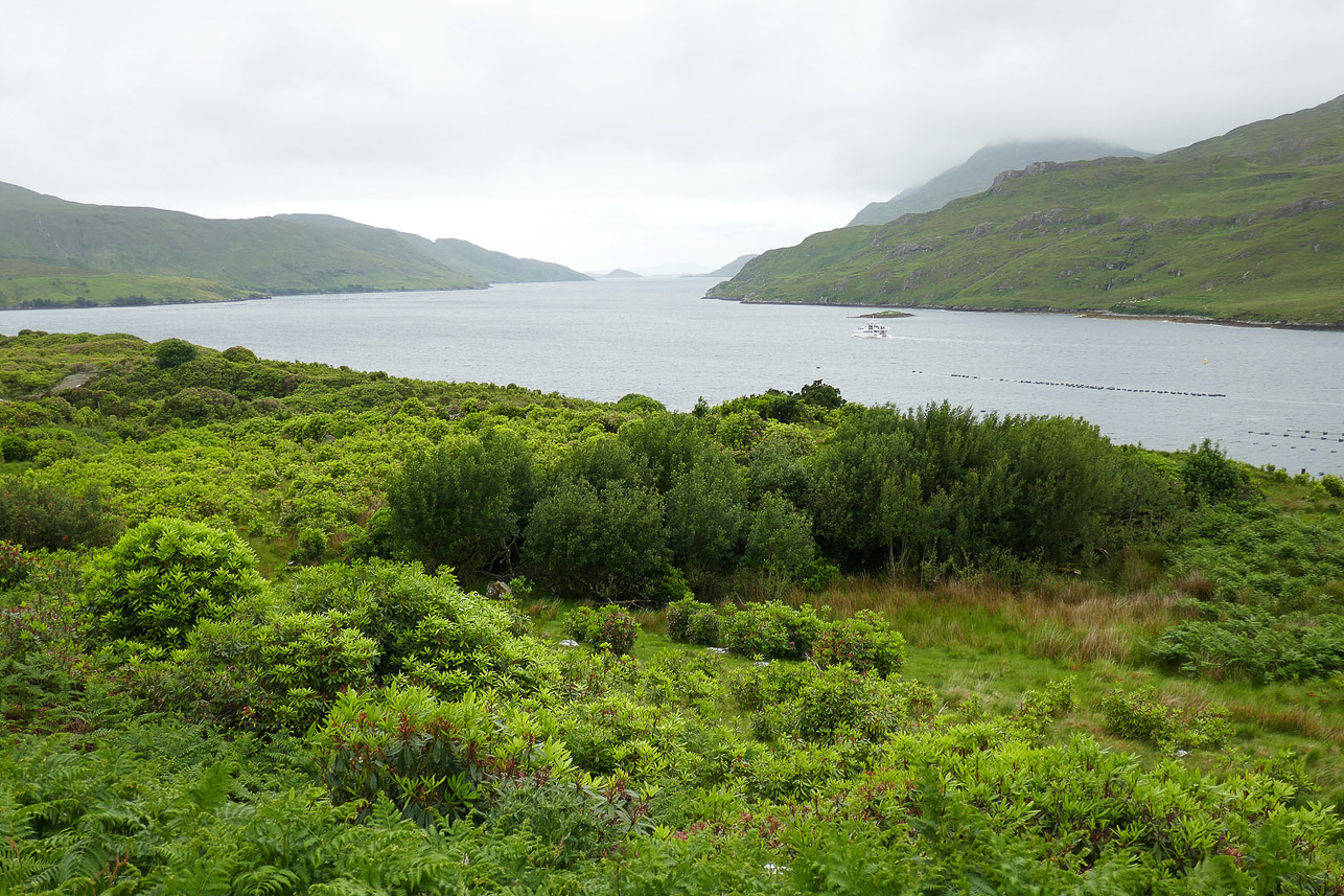 Killary Harbour (Fjord)