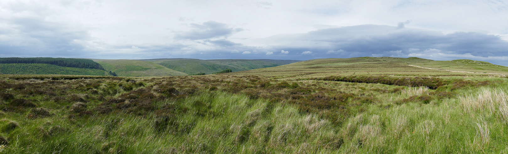 Northern Ireland landscape