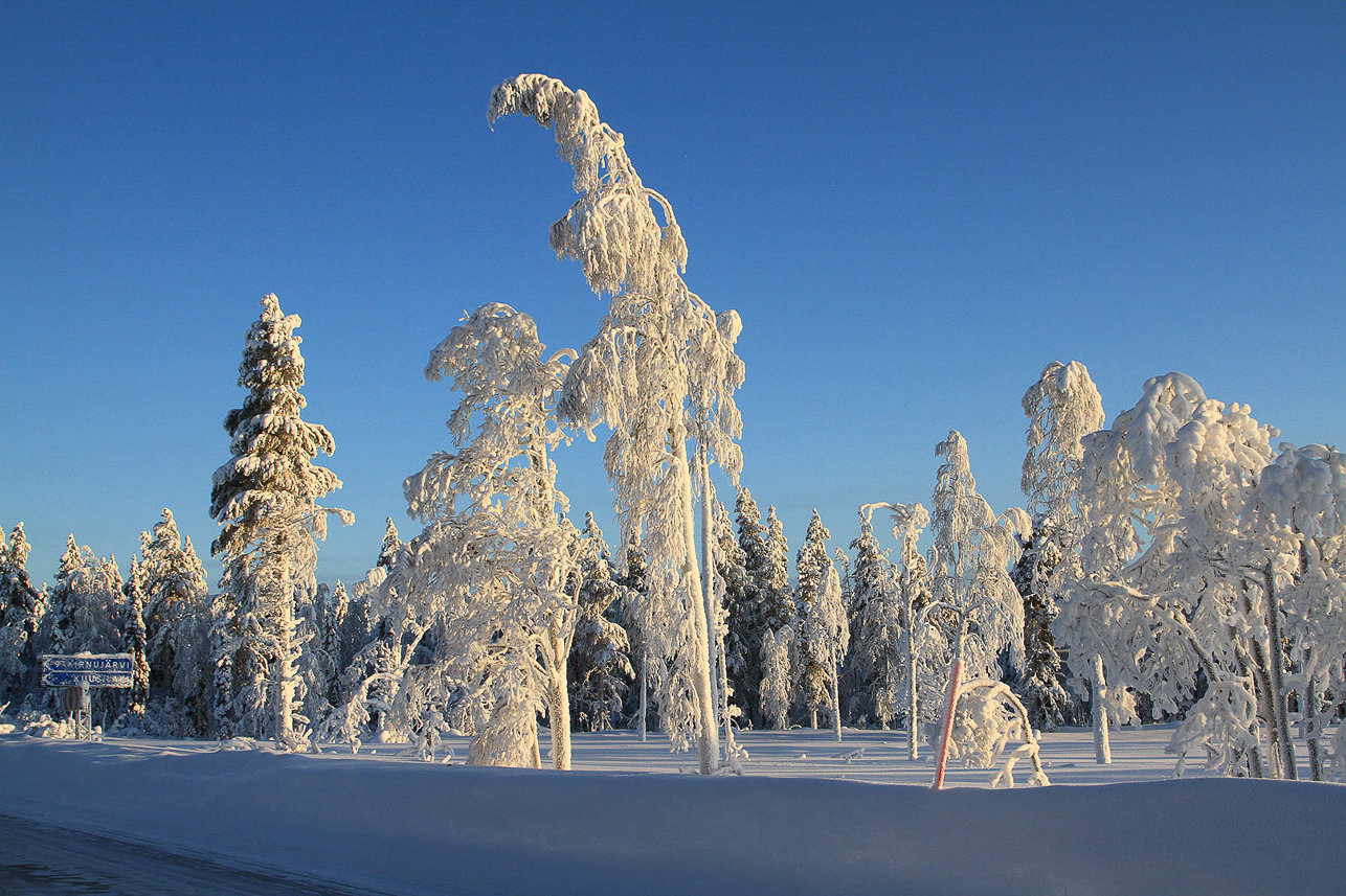 Nice new snow