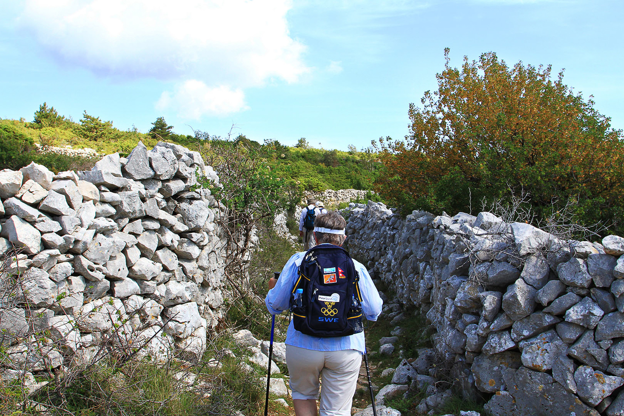 A lot of stone walls.