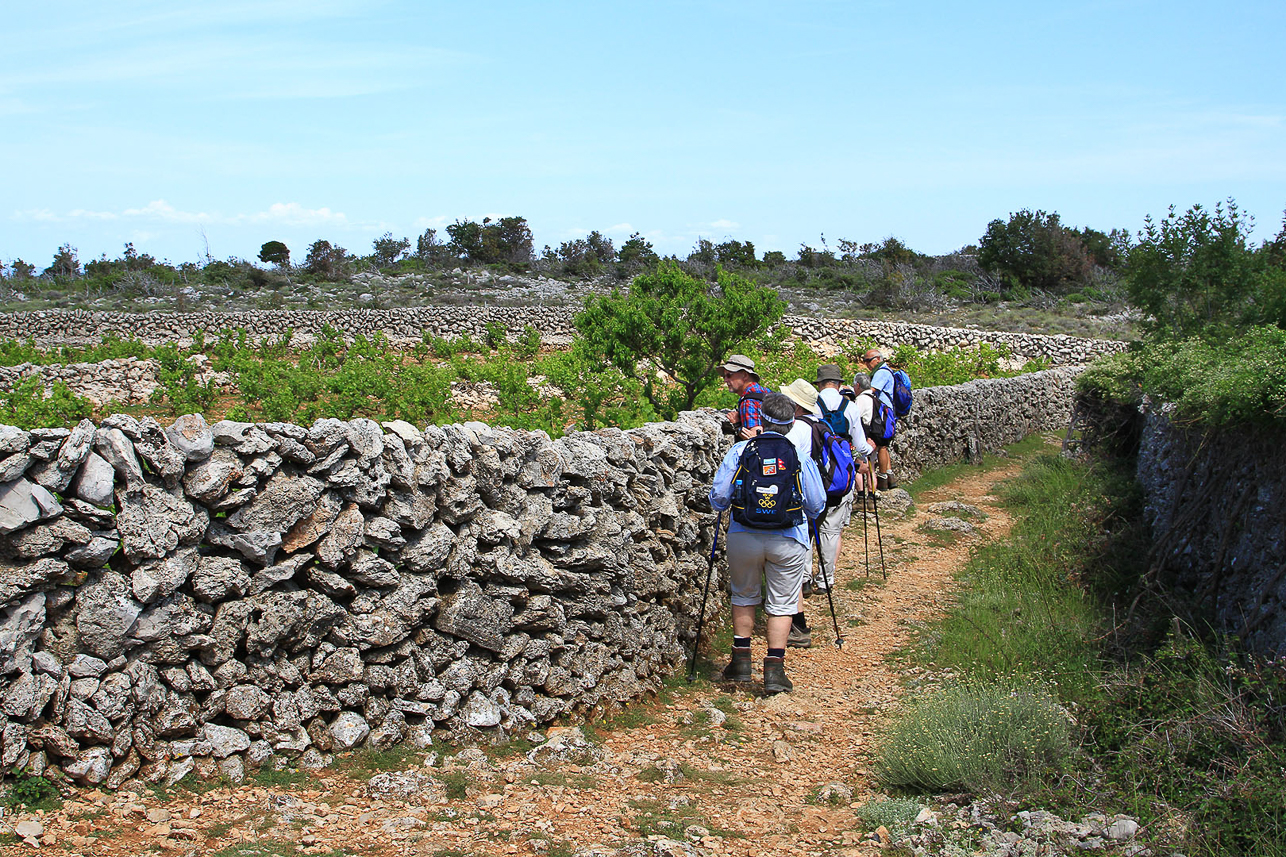 Stone walls for the sheep.