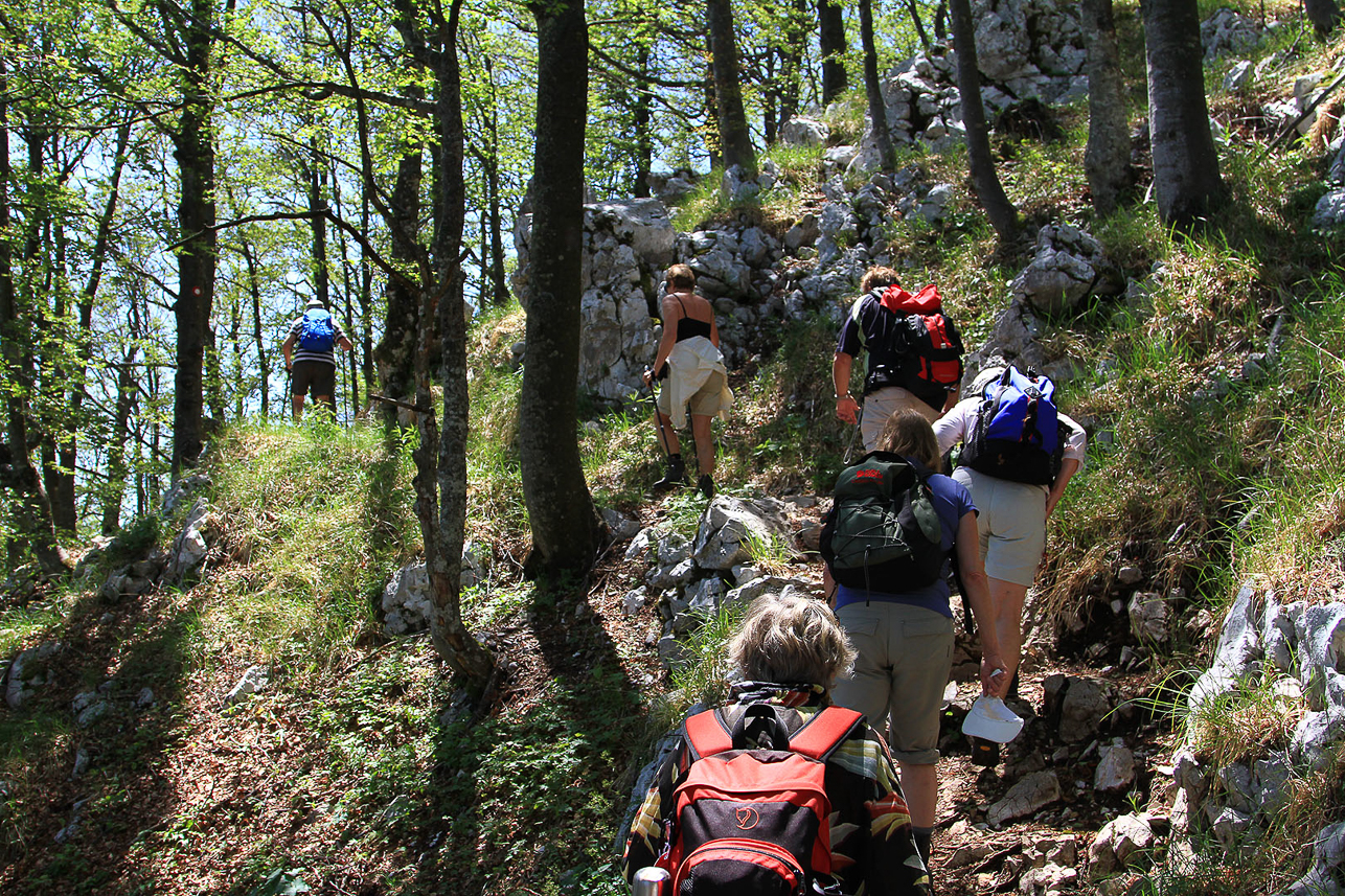 Going up to Ucka mountain.