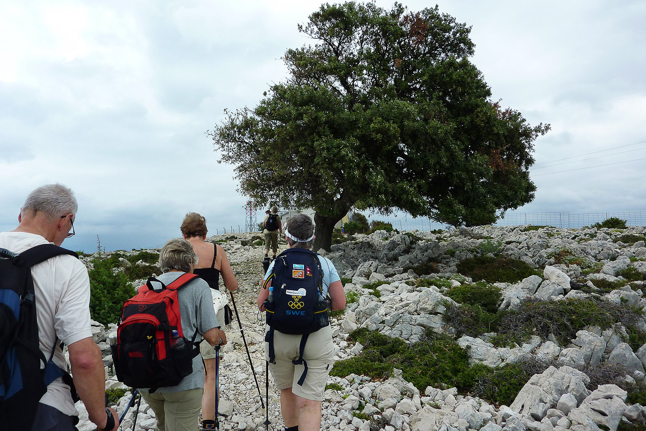 On the top of Kamenjak, difficult to walk outside the path due to all rough stones.